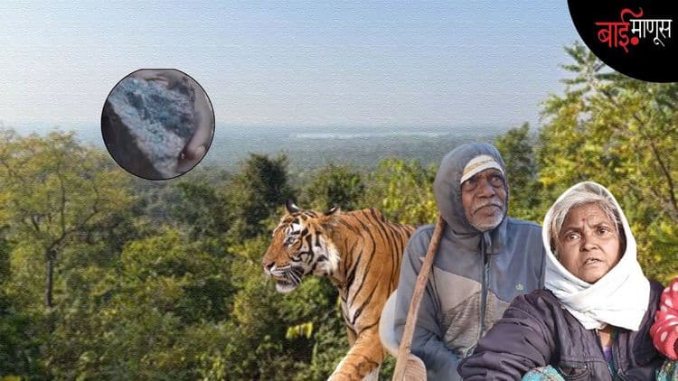  राज्य सरकारला दणका, उच्च न्यायालयाने स्वत:हून दखल घेत ताडोबा लोहखाणीवर जनहित याचिका दाखल करण्याचे आदेश दिले

