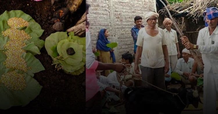 Adivasi's 'Ditwarya Utsav' in the rainy season