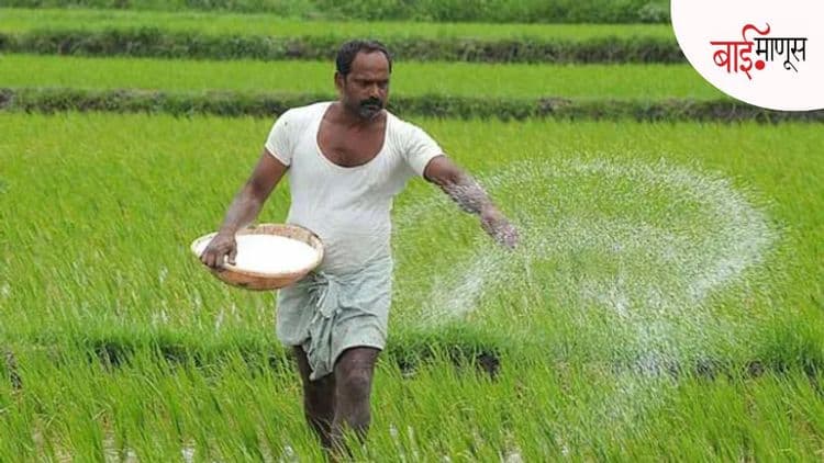 270 रुपयांचा युरिया 2,400 रुपयांना…? खत अनुदानातील 'डीबीटी' क्रांती की शेतकऱ्यांसाठी नवी अडचण…!