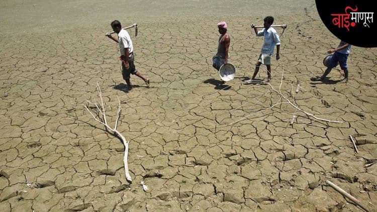 बळीराजासह शेतमजुरांच्या आत्महत्यामागचं भीषण वास्तव, 'एनसीआरबी'ची आकडेवारी काय सांगते?