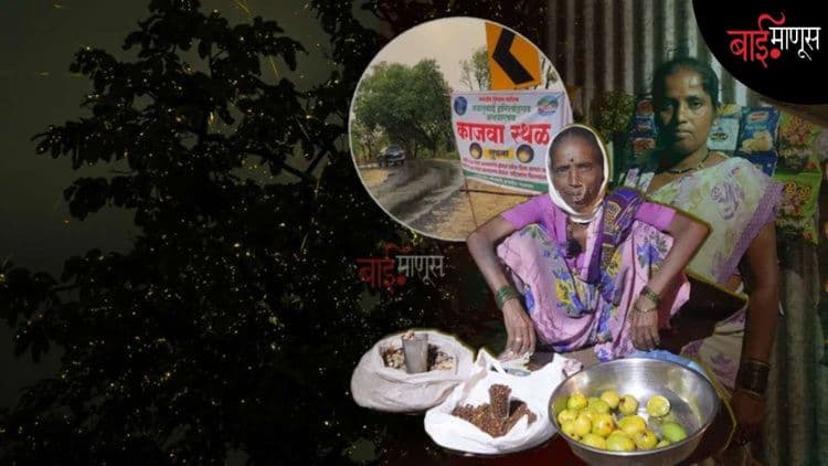 काजव्यांच्या झगमगाटामागचं काळं वास्तव : पर्यटन, पर्यावरण आणि अस्तित्वाची लढाई