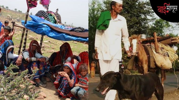 "आमचीही गणना करा"; भटके-विमुक्तांच्या अस्तित्वाच्या लढ्याची ‘मुशाफिरी यात्रा’