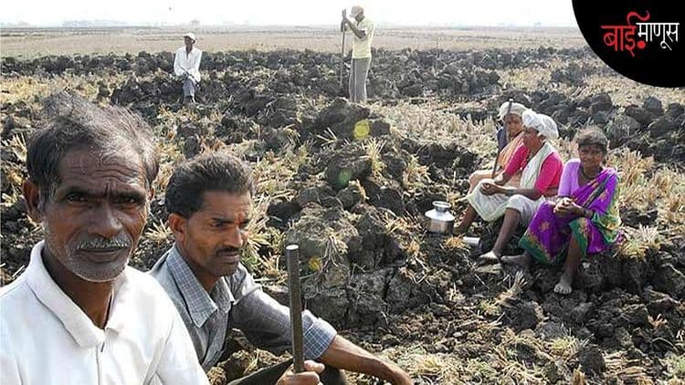 दर तासाला एक जीव… शेतकरी नव्हे, आता शेतमजूरही शेतीच्या संकटाच्या विळख्यात!