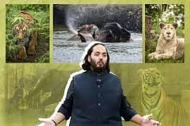 Vantara : गर्भश्रीमंत उद्योगपतीच्या खासगी संग्रहालयाचे भूषण वाढवण्यासाठी गडचिरोलीचे हत्ती कशासाठी पाठवले?