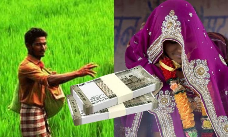 शेतकरी राजाला, ‘राणी’ मिळेना… पण मग दोष कुणाचा…?