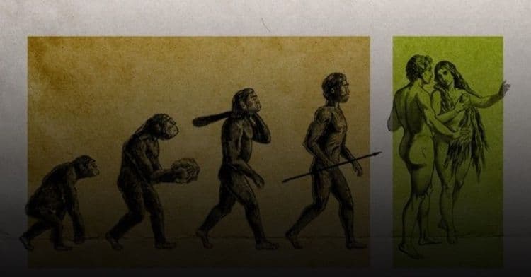 The beastly form of the monkey still remains in men