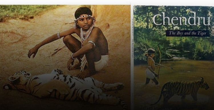 One was Tiger Boy…