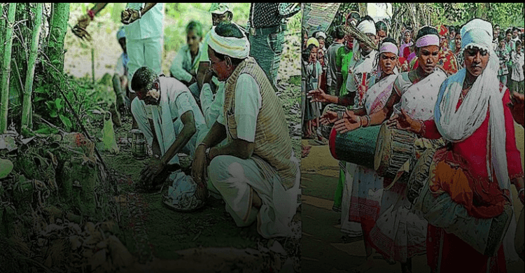 Surjagad Thakur Devi's journey to protect water, forest, land