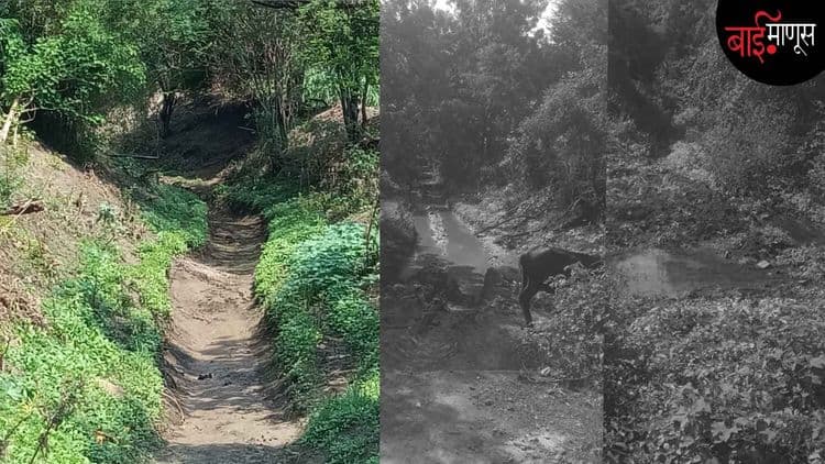 गाव तसे छोटे, पण कामांतून झाले मोठे… ‘पाणीदार गाव’ करण्यासाठी एकवटले हजारो हात!