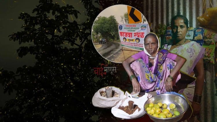 काजव्यांच्या झगमगत्या दुनियेला लागले बेजबाबदार पर्यटन आणि बदलत्या भवतालाचे ग्रहण