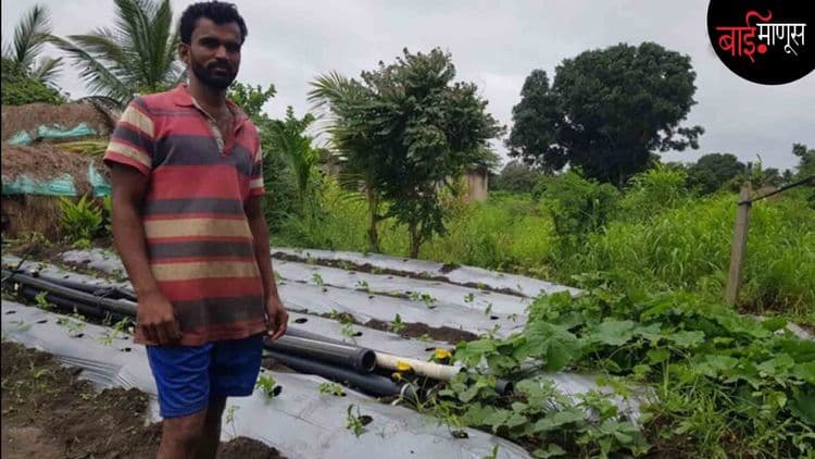 शेतीच्या ‘प्लास्टिकल्चर’मुळे पर्यावरण आणि पिकांविषयीची काळजी चिंताजनक…!