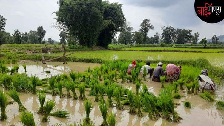 आदिवासी समुहांना उत्सव साजरे करणं झालं कठीण