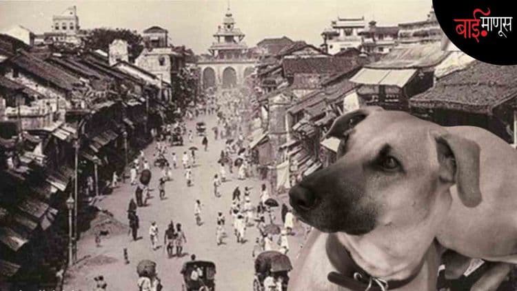भटक्या कुत्र्यांवरून शांतताप्रिय पारशी समाज मुंबईत दंगल घडवतो तेव्हा…!