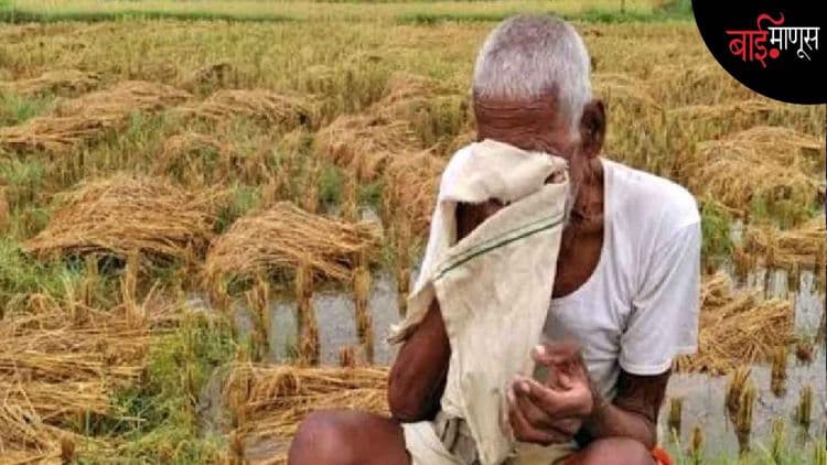 बदलत्या हवामानास जे पिक बळी पडत नाही, त्या पिकांचा अवलंब आता तरी शेतकऱ्यांनी करायलाच हवा…