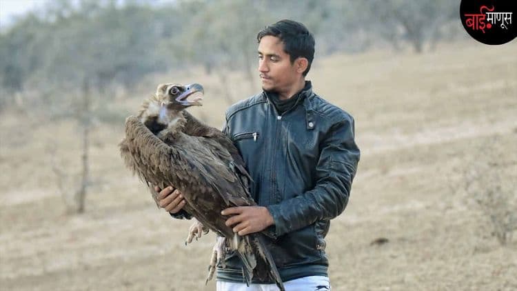 काळविटांची शिकार रोखायला गेला अन् अपघातात जीव गमावला… ‘राधेश्याम बिश्नोई’च्या मृत्यूने पर्यावरण विश्वाची मोठी हानी