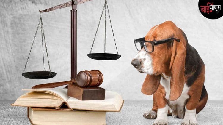 प्राण्यांवर अनैसर्गिक अत्याचार केल्यास शिक्षा फक्त 50 रु. दंडाची…नव्या फौजदारी कायद्यात प्राण्यांविषयी अत्याचाराचे कलमच नाही!