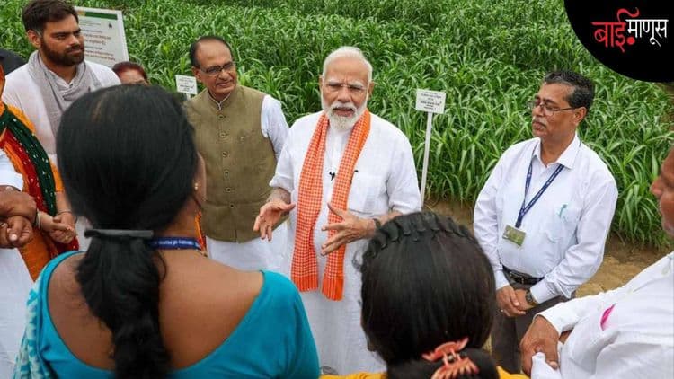 पंतप्रधान मोदींचे ऐकल्यामुळे कडधान्य उत्पादक शेतकऱ्यांवर पश्चातापाची वेळ का आली?
