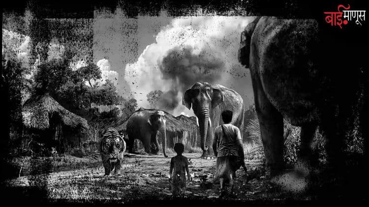 हत्ती, माकडं, रानडुक्करांमुळे दर वर्षी 10 ते 40 कोटींचे पीक उद्धवस्त!