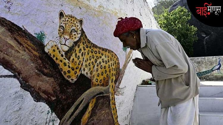बिबट्या आणि मनुष्य एकत्र राहू शकतील? का नाही, राजस्थानच्या ‘झालाना’ गावात जाऊन बघा…!
