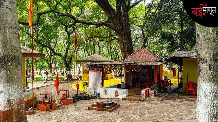 तपोवनातला कुंभमेळा की कॉर्पोरेट मेळा