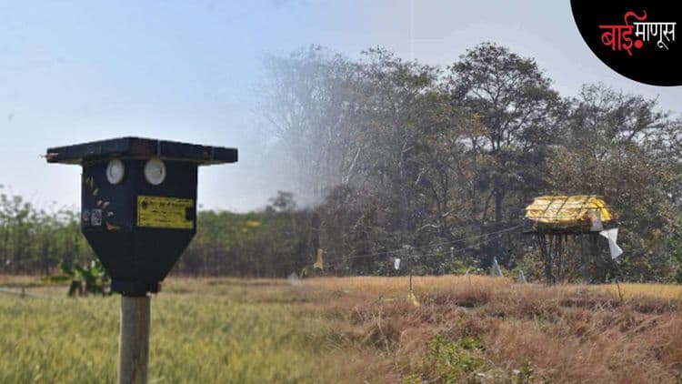 सौर उर्जेमुळे पेंचच्या जंगलात मानव–वन्यजीव संघर्ष कसा कमी होतोय…?