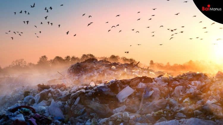 UN Methane Alert System Expands to Coal and Waste in India