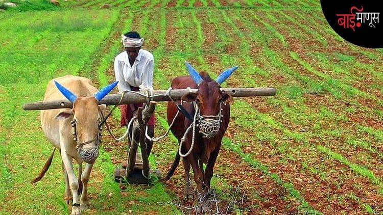 कर्जमाफीची घोषणा तर झाली, पण तरीही बळीराजा संभ्रमात का आहे?